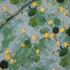 Picture of Marsh Marigolds - M - Double Gauze